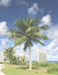 珪藻土の省エネ効果