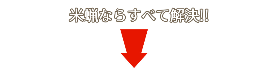米蝋ならすべて解決!!