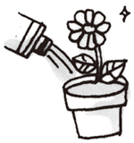 植物の育成補助剤にもなります